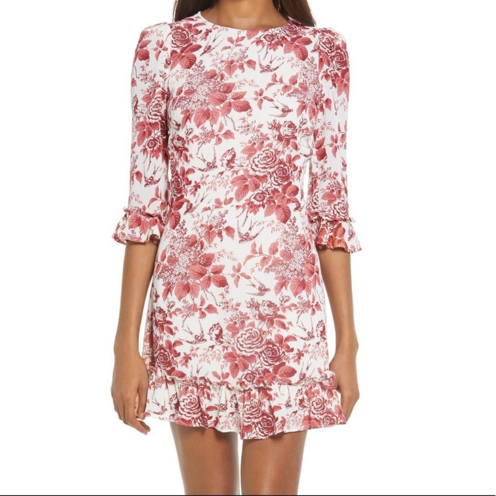 Reformation Doutzen Dress Toile De Jouy Floral Mini Dress